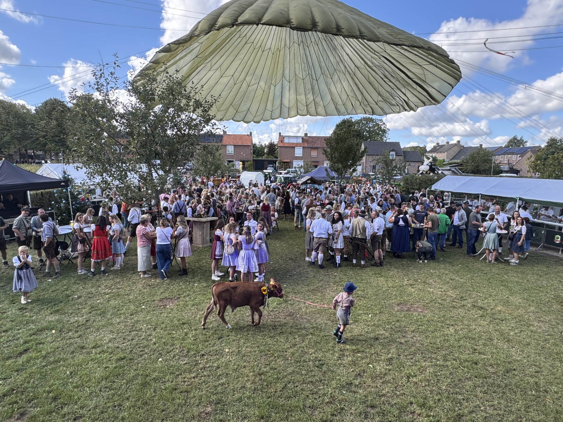 almabtrieb 2025.jpg almabtrieb 2025.jpg